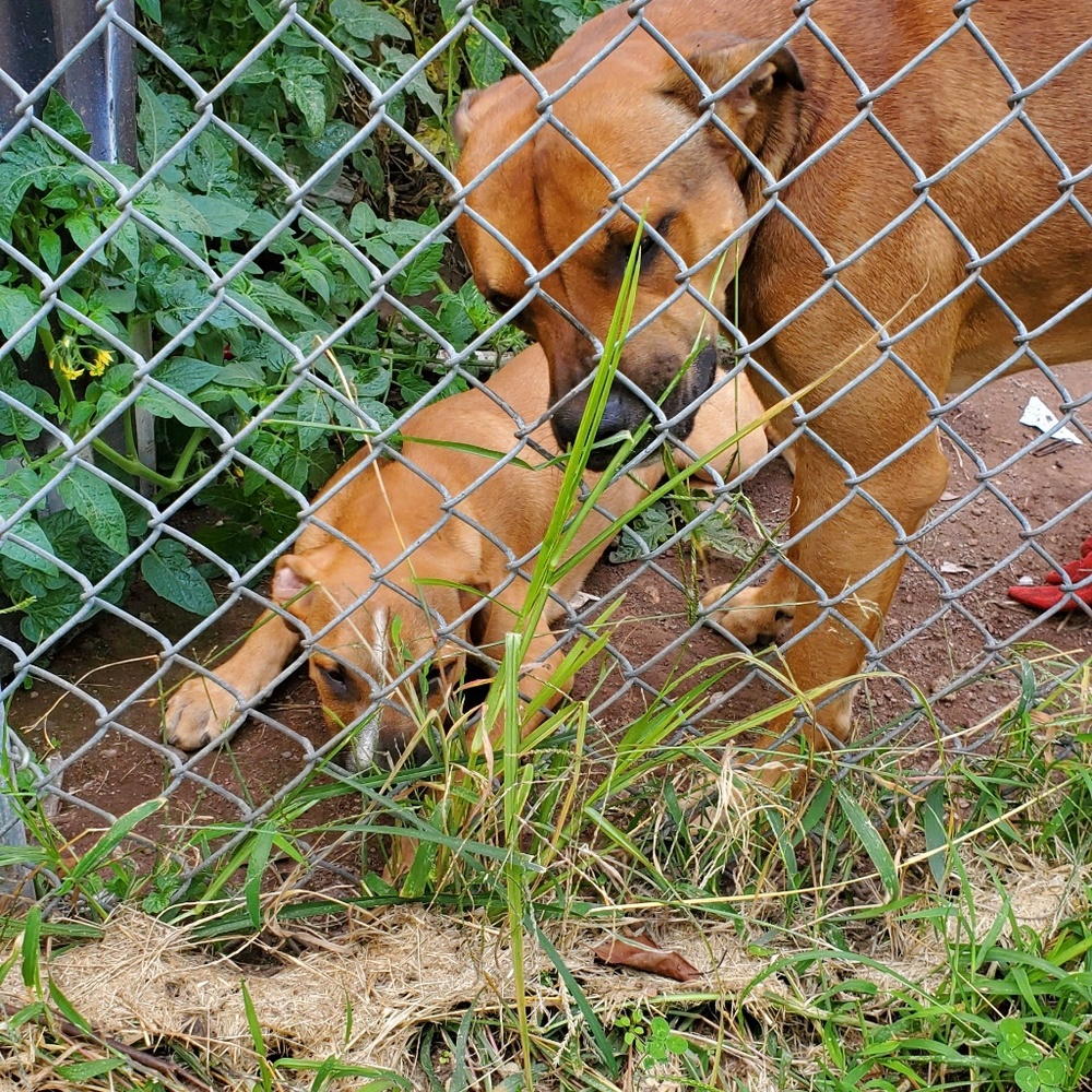 Meet your Posher, Tina